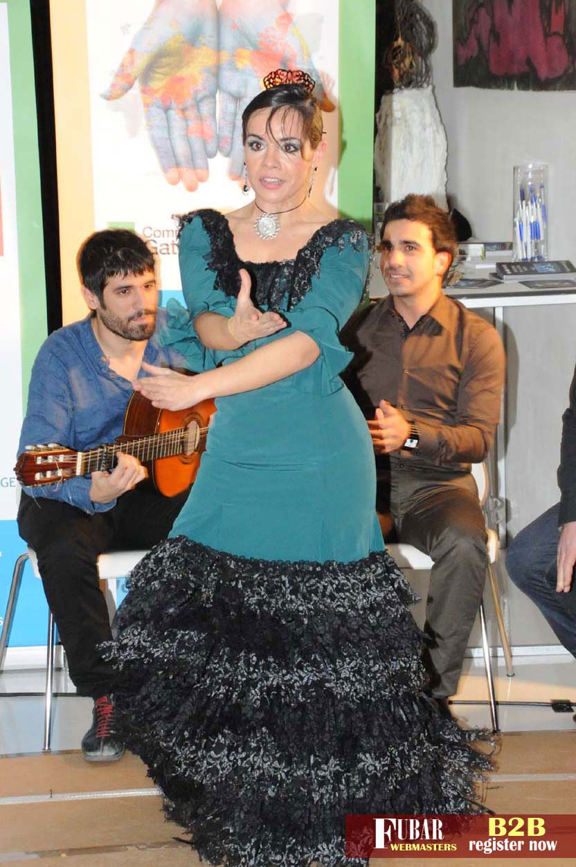 Live Flamenco Show