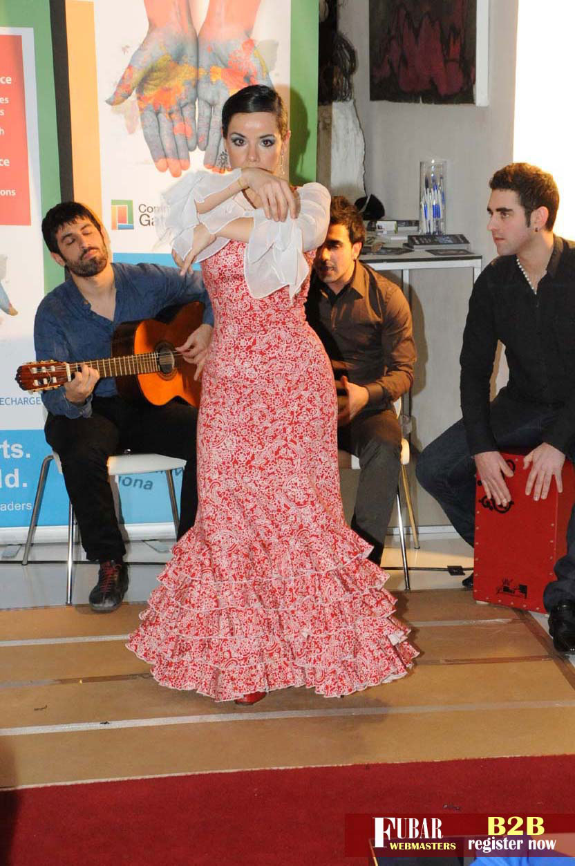 Live Flamenco Show