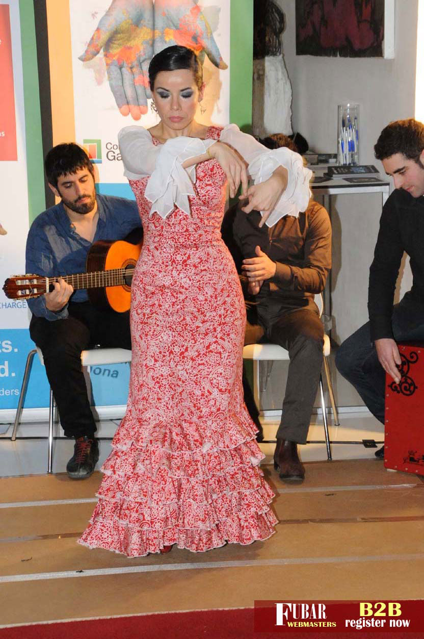 Live Flamenco Show