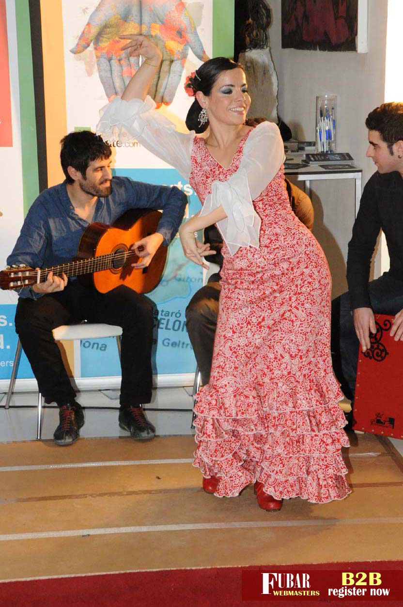 Live Flamenco Show
