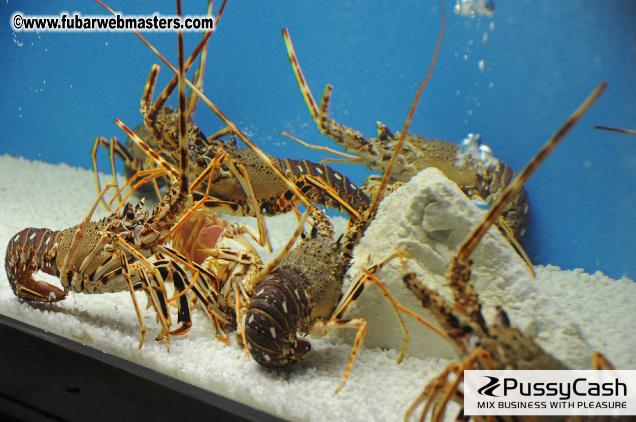 Dinner @ Restaurant Barceloneta