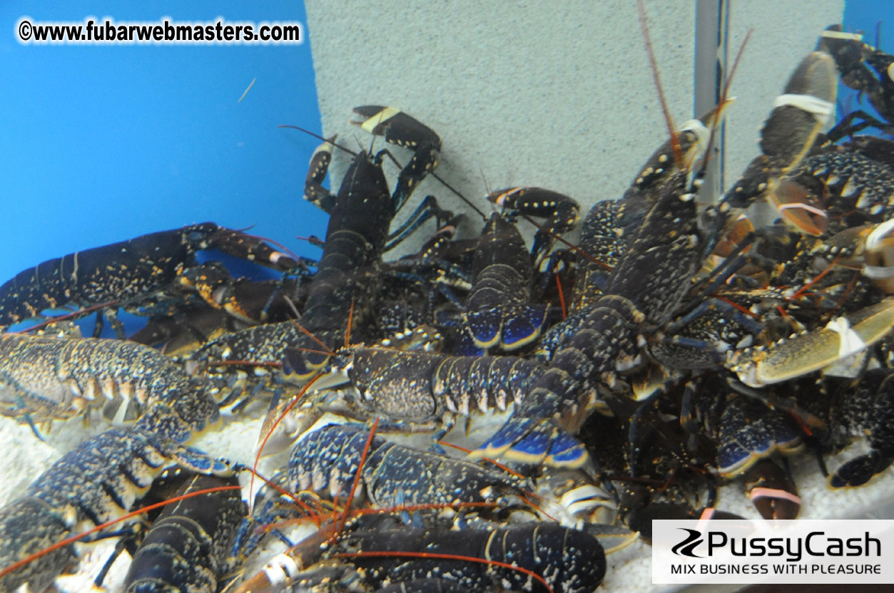 Dinner @ Restaurant Barceloneta