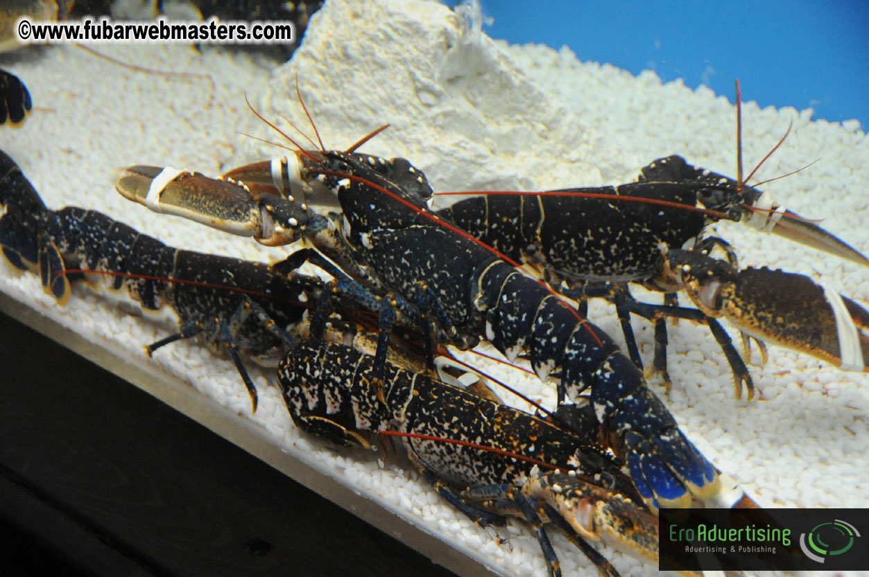 Dinner @ Restaurant Barceloneta