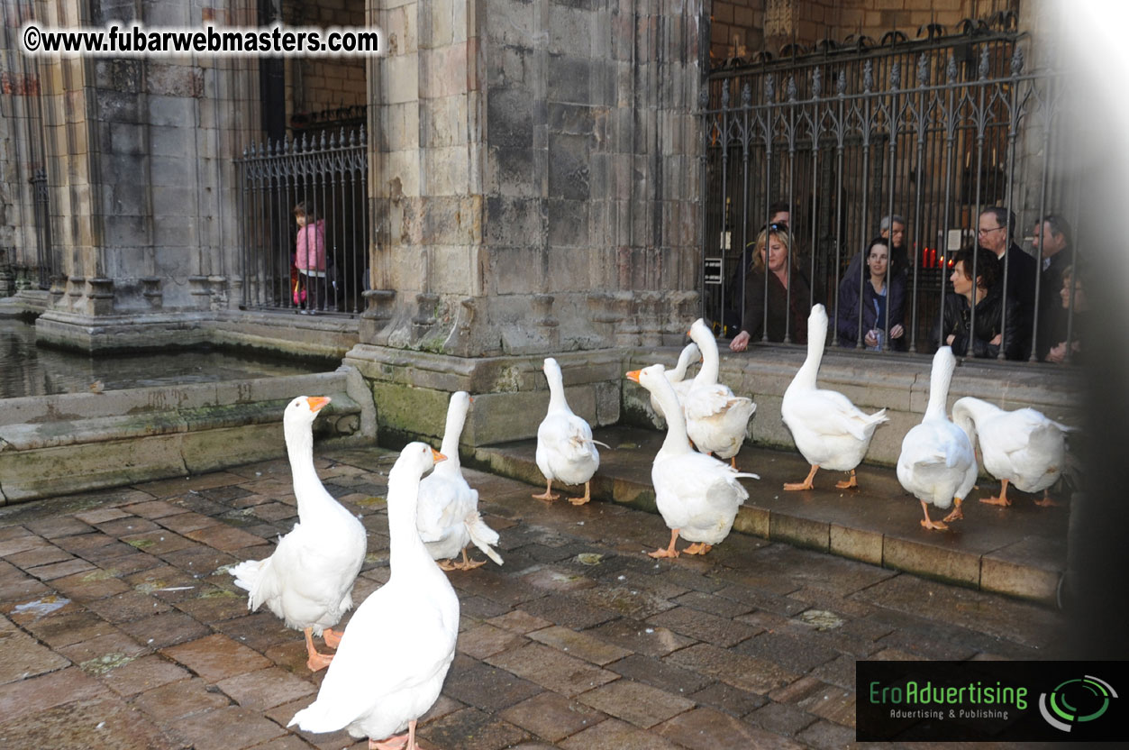 Barcelona Walking Tapas Tour