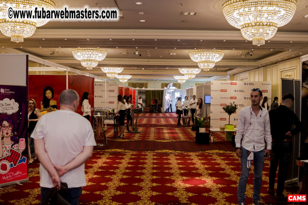 Day 2 - Meetings Day