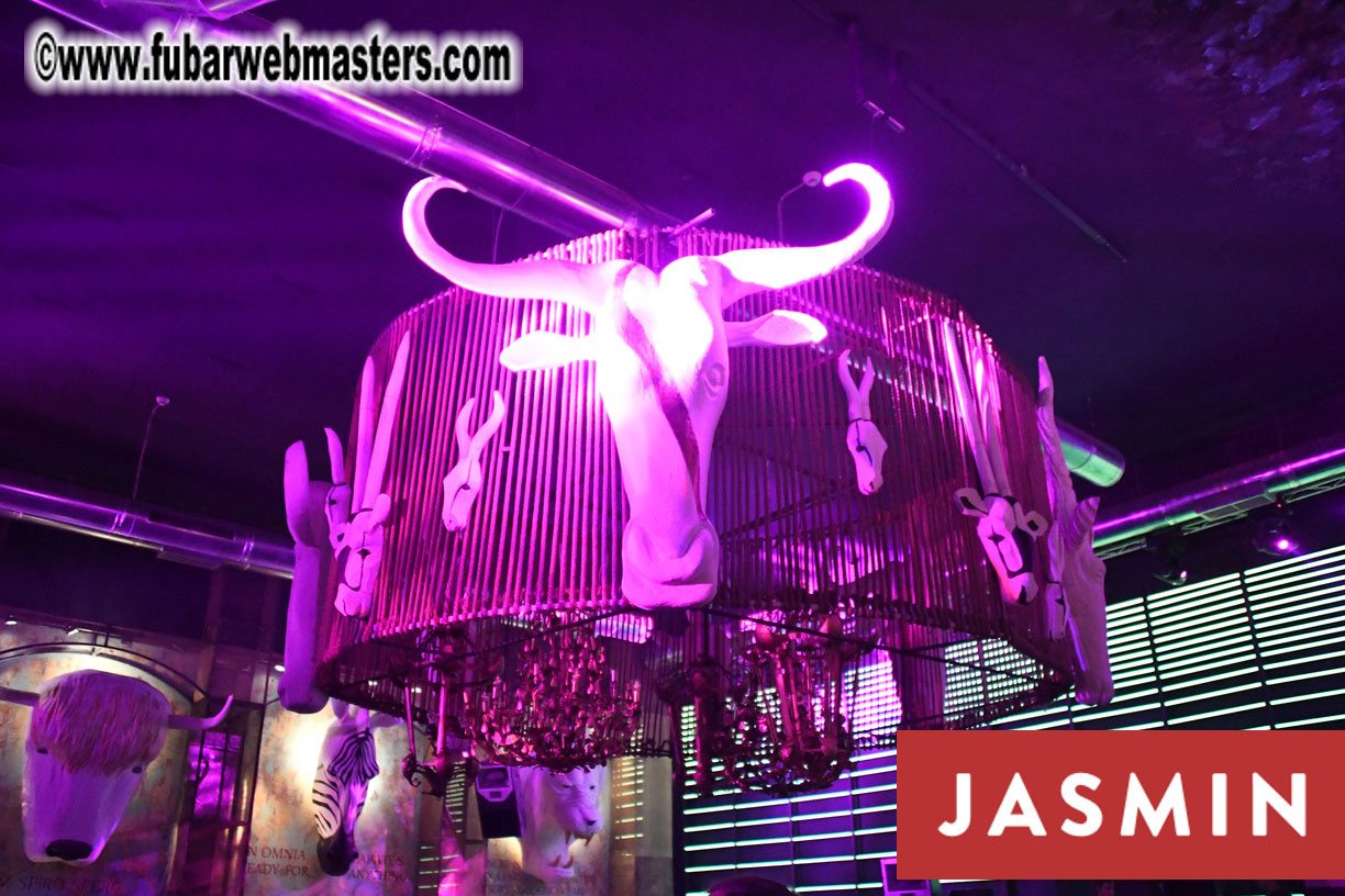 Party at Gaia