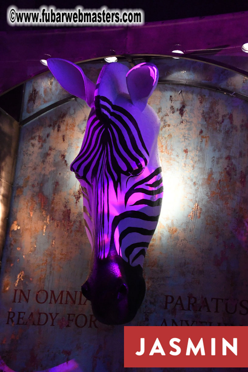 Party at Gaia