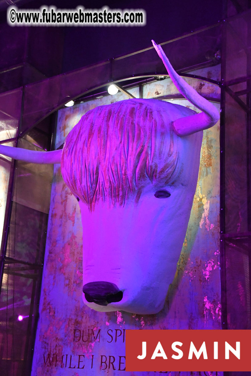 Party at Gaia
