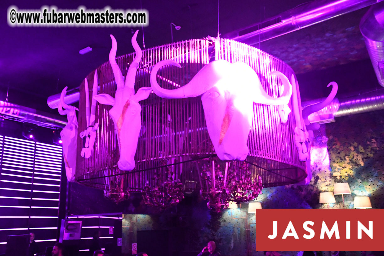 Party at Gaia