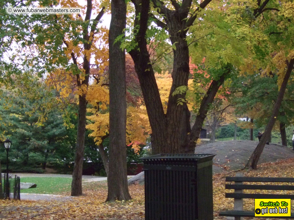 sightseeing in New York and Ad Tech