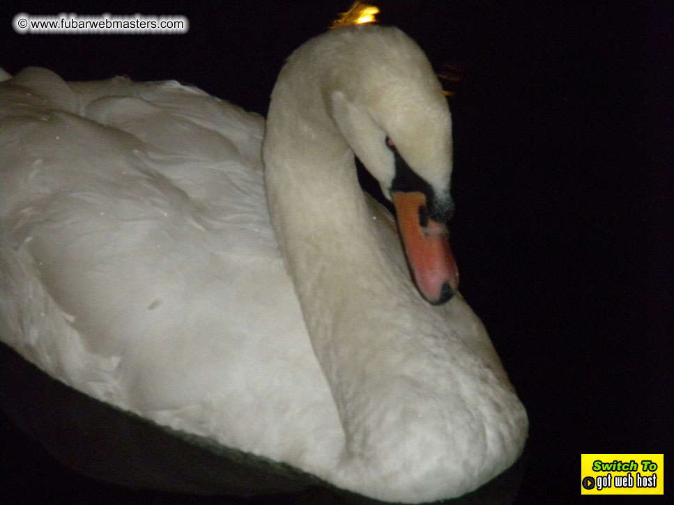 Baddog's view of Webmaster Access Amsterdam