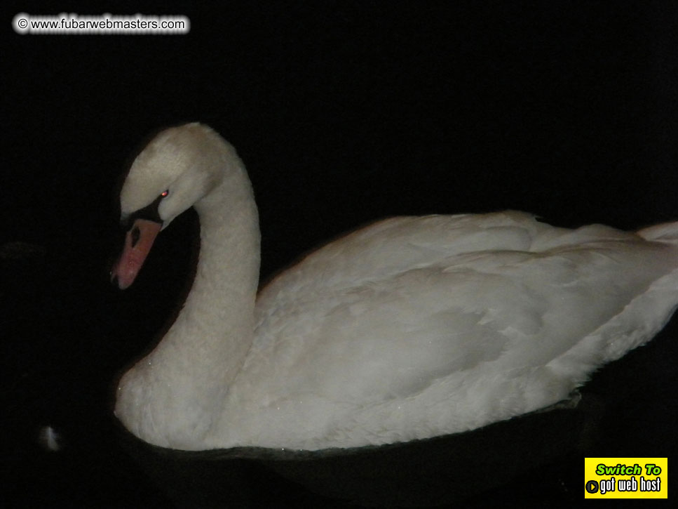 Baddog's view of Webmaster Access Amsterdam