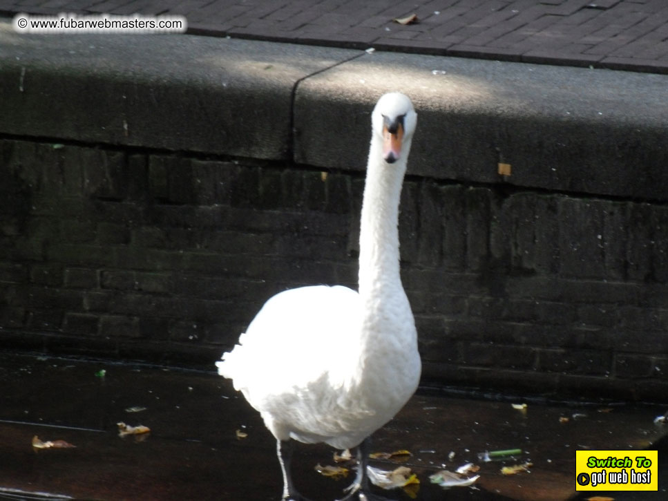 Baddog's view of Webmaster Access Amsterdam