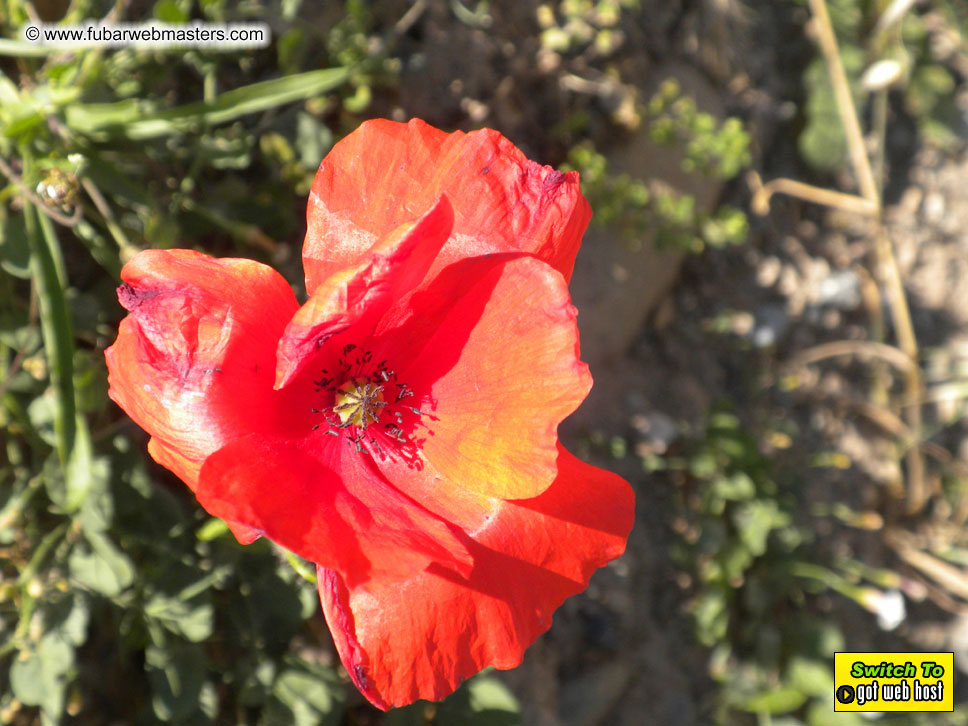 The drive to Andorra