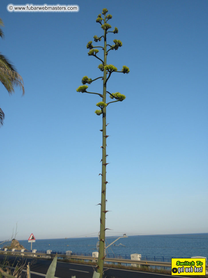 Cruise along the Mediterranean Coastline