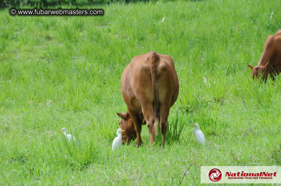 Trip to YS River Falls