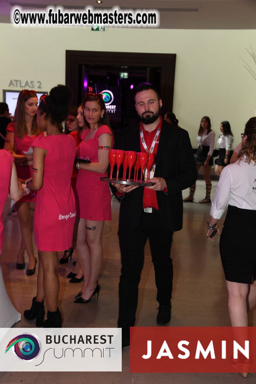 Bucharest Summit