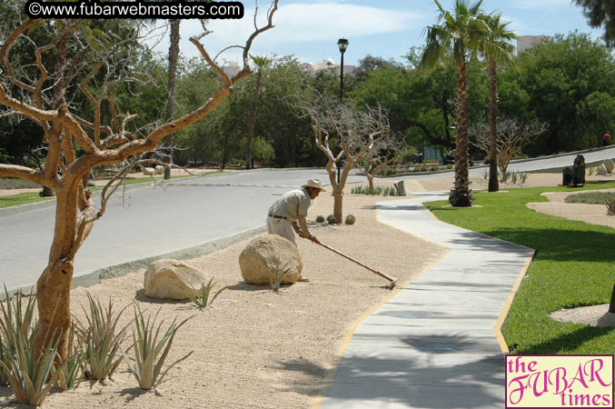 Cabo San Lucas and the Melia San Lucas Boutique Ho
