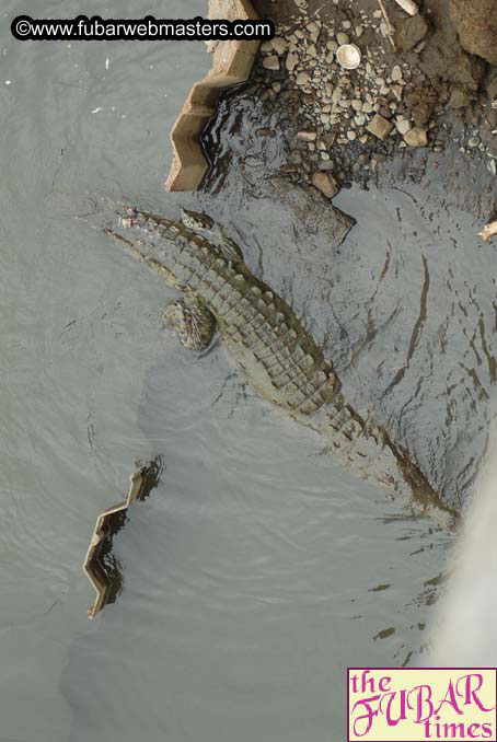 The trip to Jac? Beach