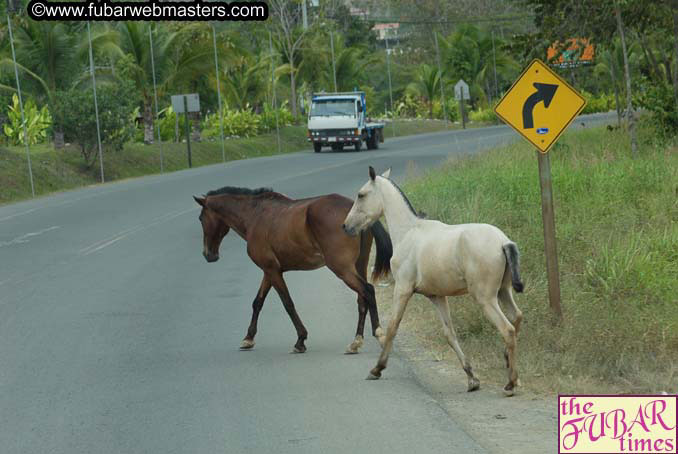 The trip to Jac? Beach