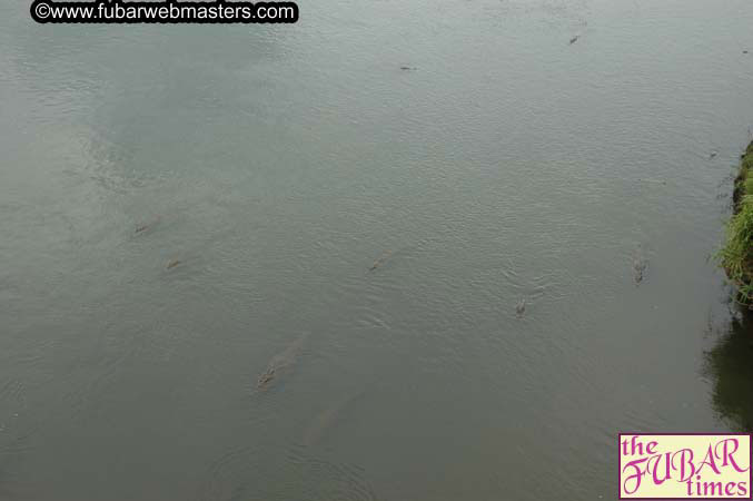 The trip to Jac? Beach