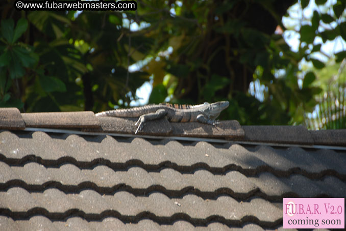 Jac? Fiesta Beach Resort