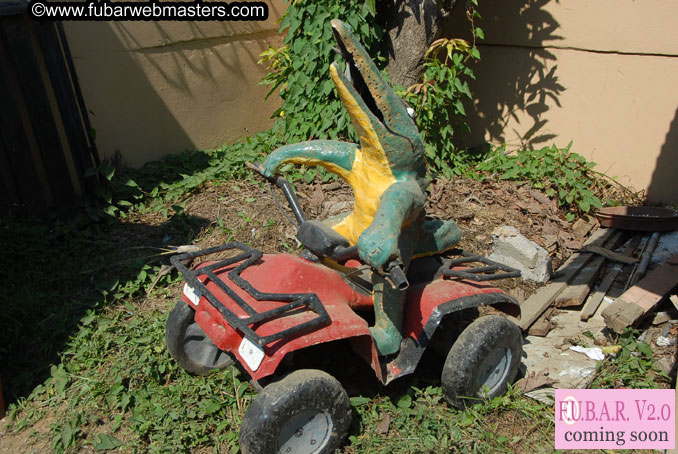 ATV Tours in the Jungle