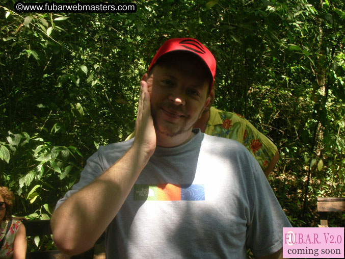 Rainforest Canopy Tours