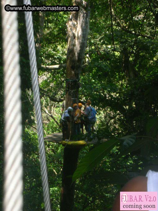 Rainforest Canopy Tours
