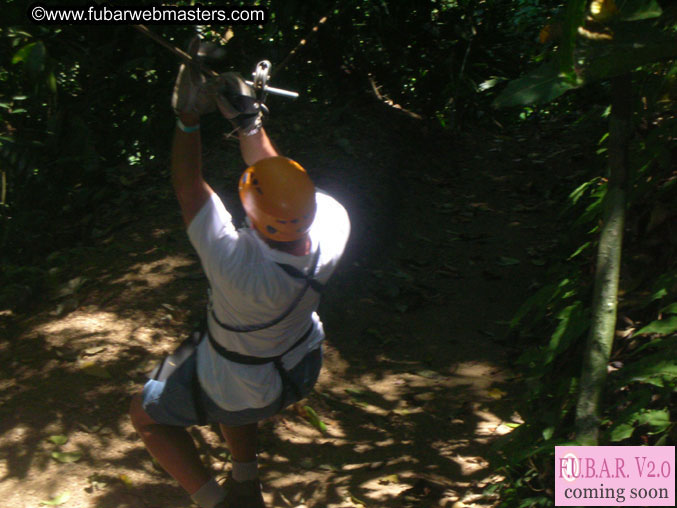 Rainforest Canopy Tours