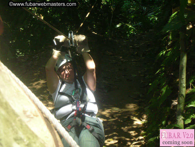 Rainforest Canopy Tours