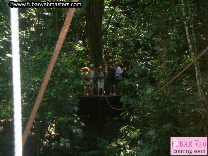 Rainforest Canopy Tours