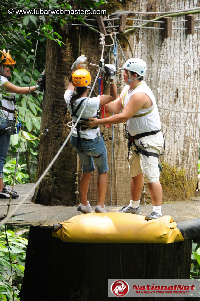 Rainforest Canopy Tours