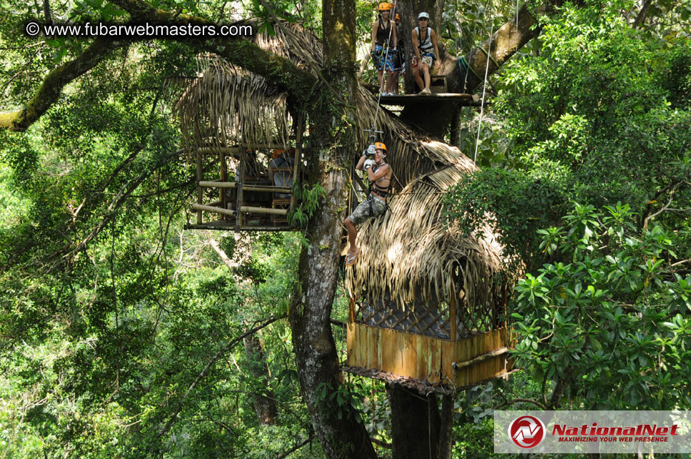 Rainforest Canopy Tours