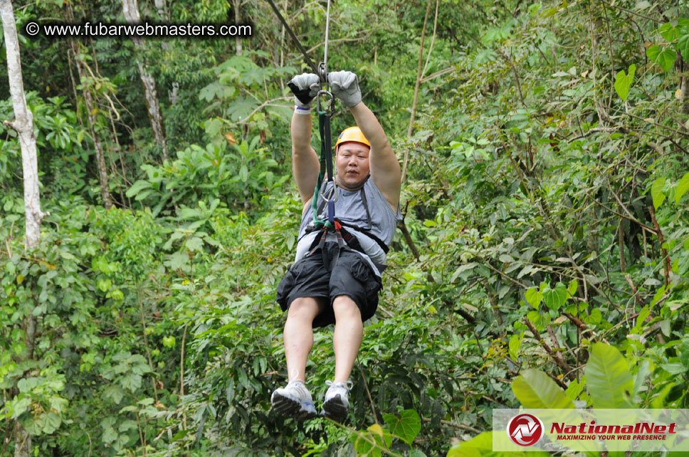 Rainforest Canopy Tours