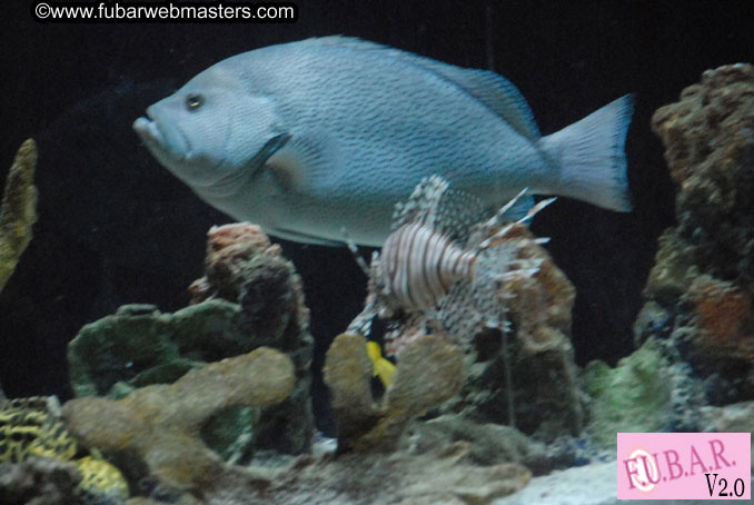 Closing Party at Club Prana