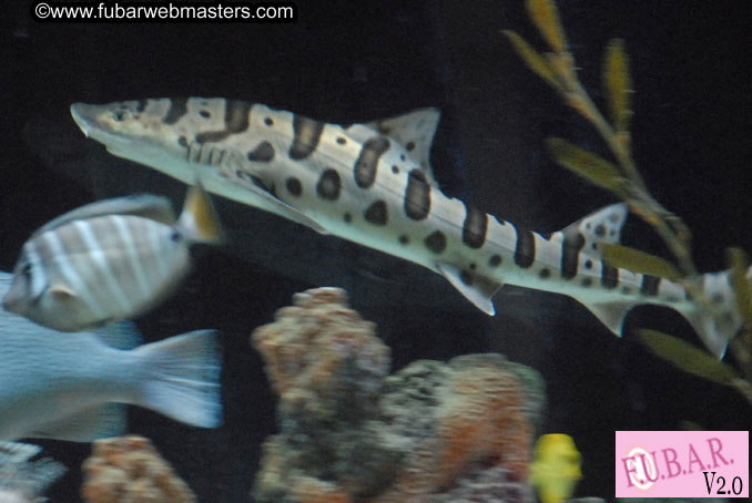 Closing Party at Club Prana