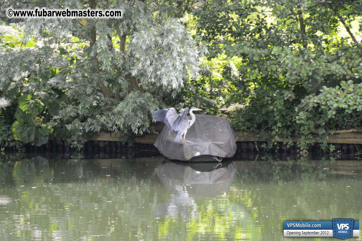 The Webmaster Meeting