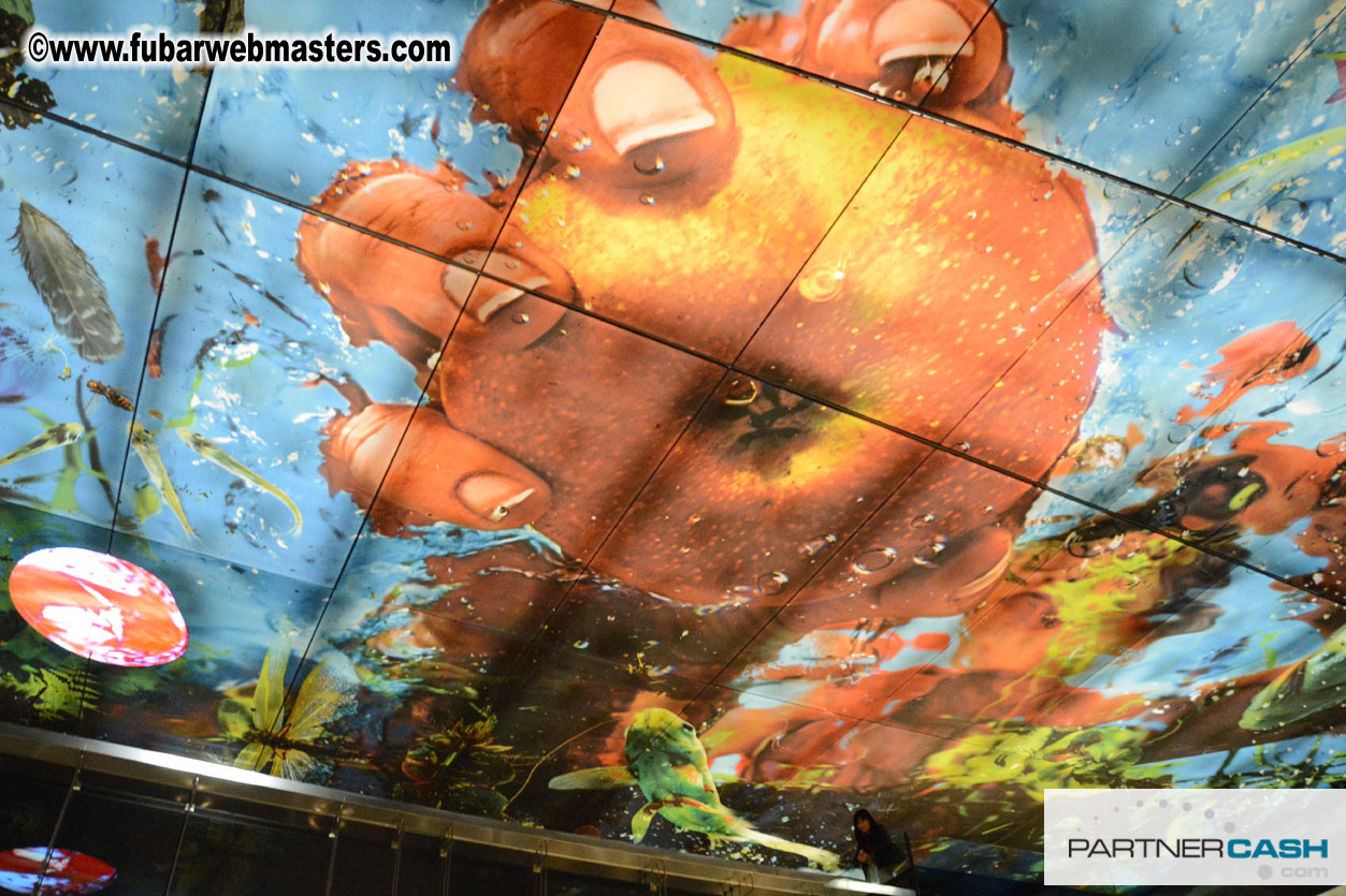 Set-up and Registration