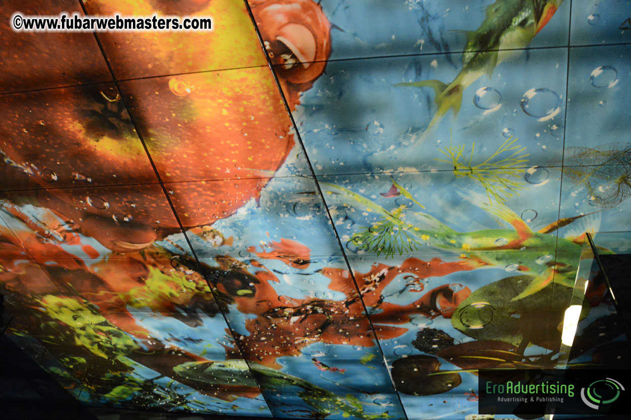 Set-up and Registration