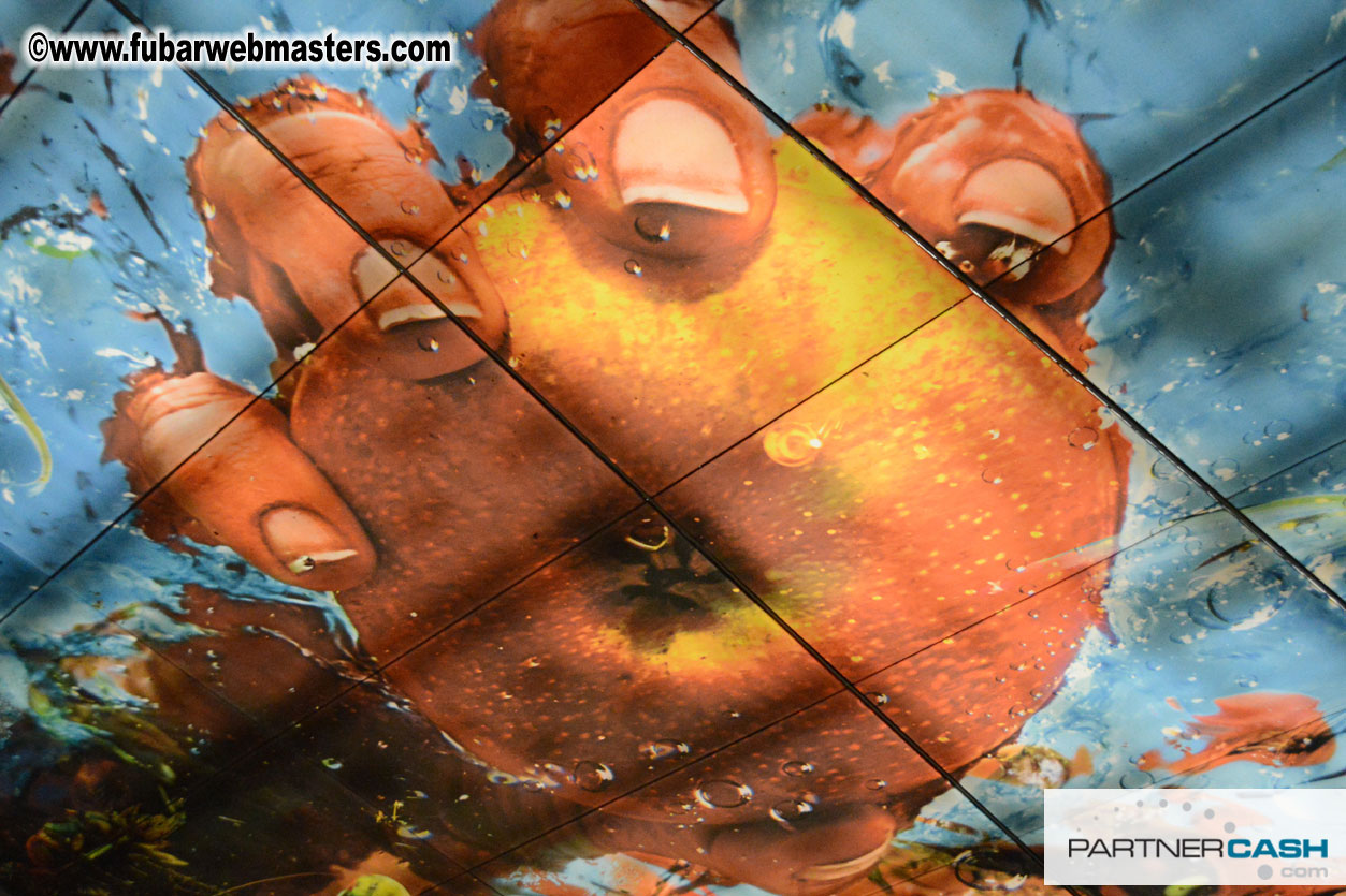 Set-up and Registration