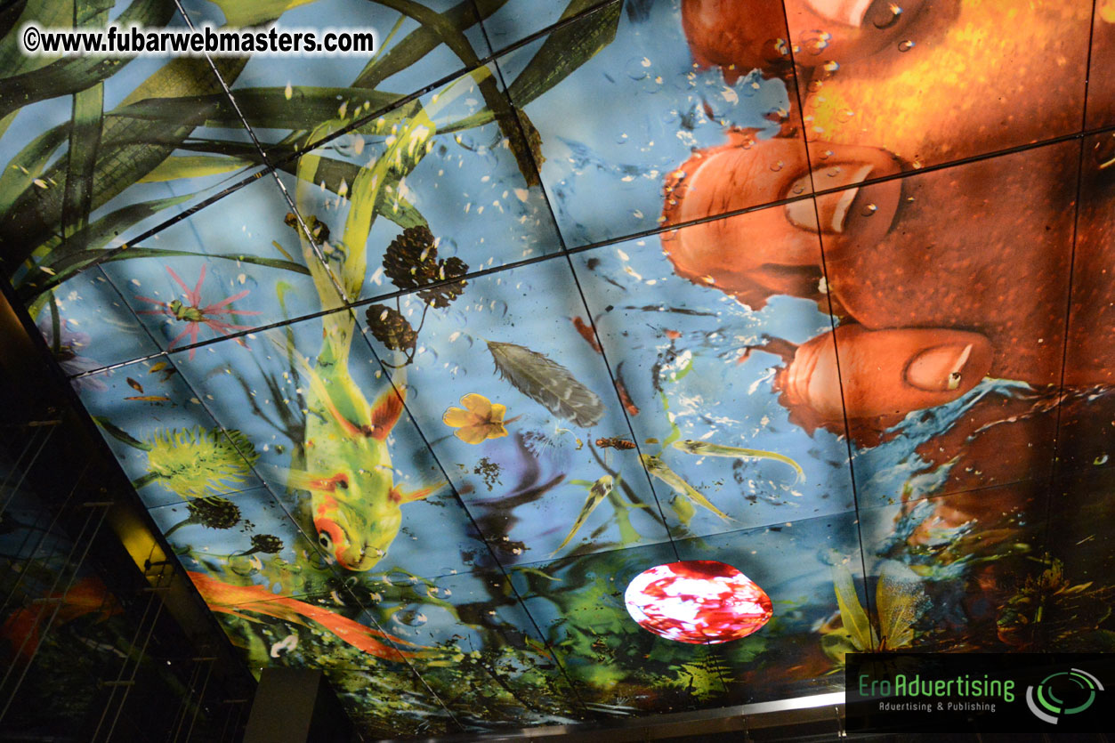 Set-up and Registration