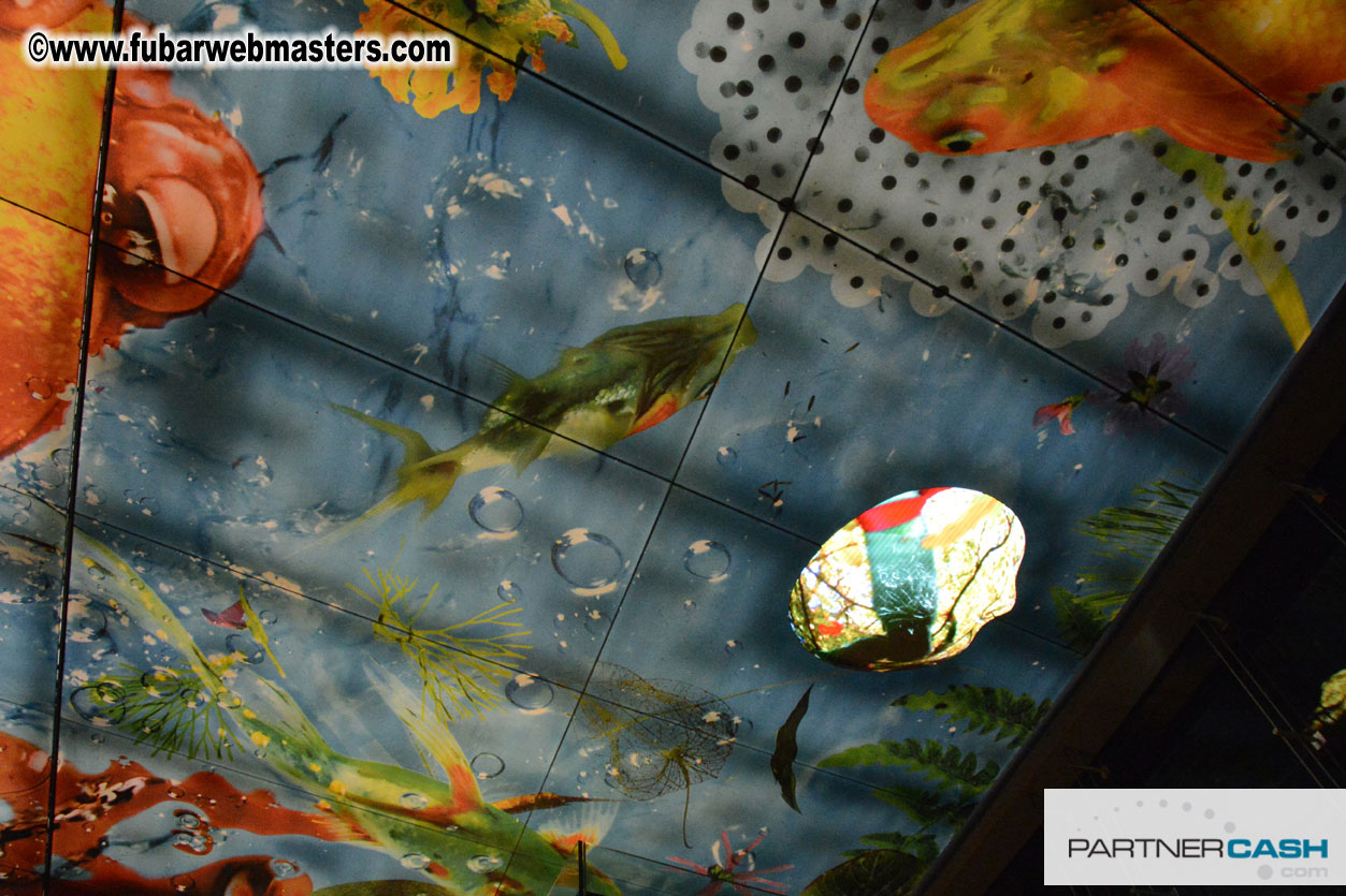 Set-up and Registration