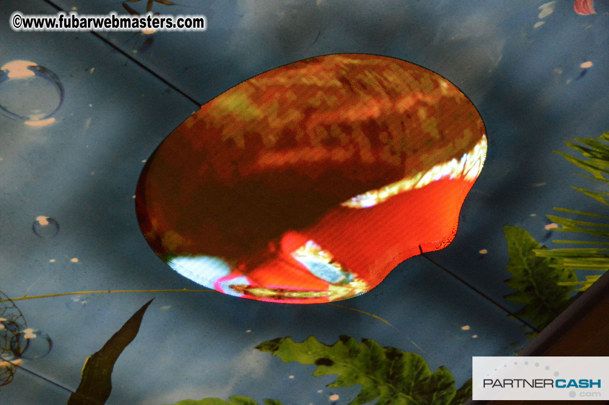 Set-up and Registration