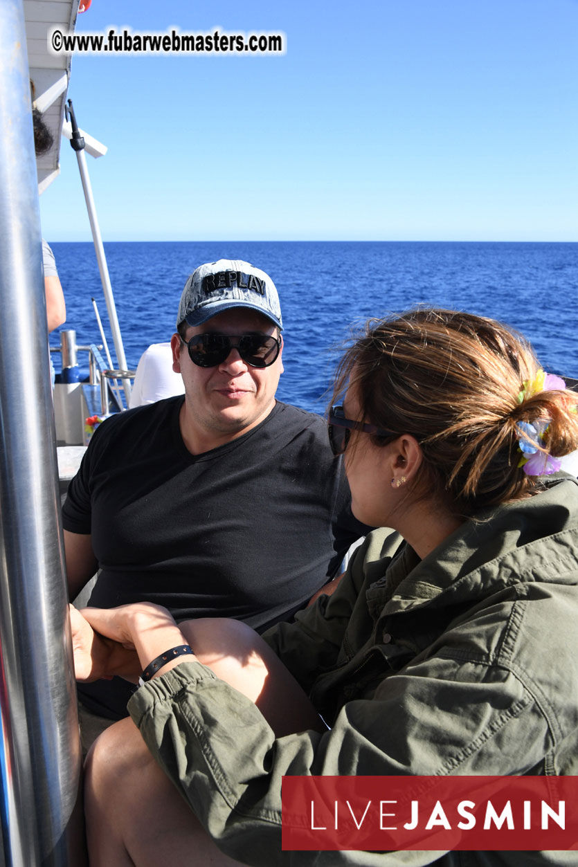 Boat Trip with Cool Drinks & Hot Girls