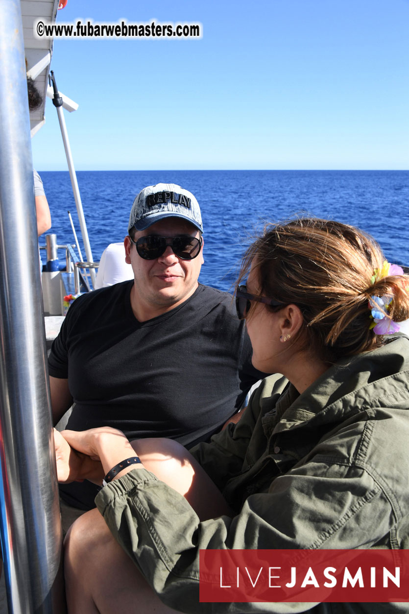 Boat Trip with Cool Drinks & Hot Girls