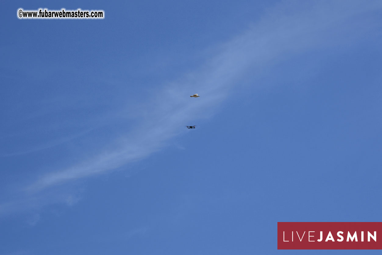 Afternoon Networking Party 