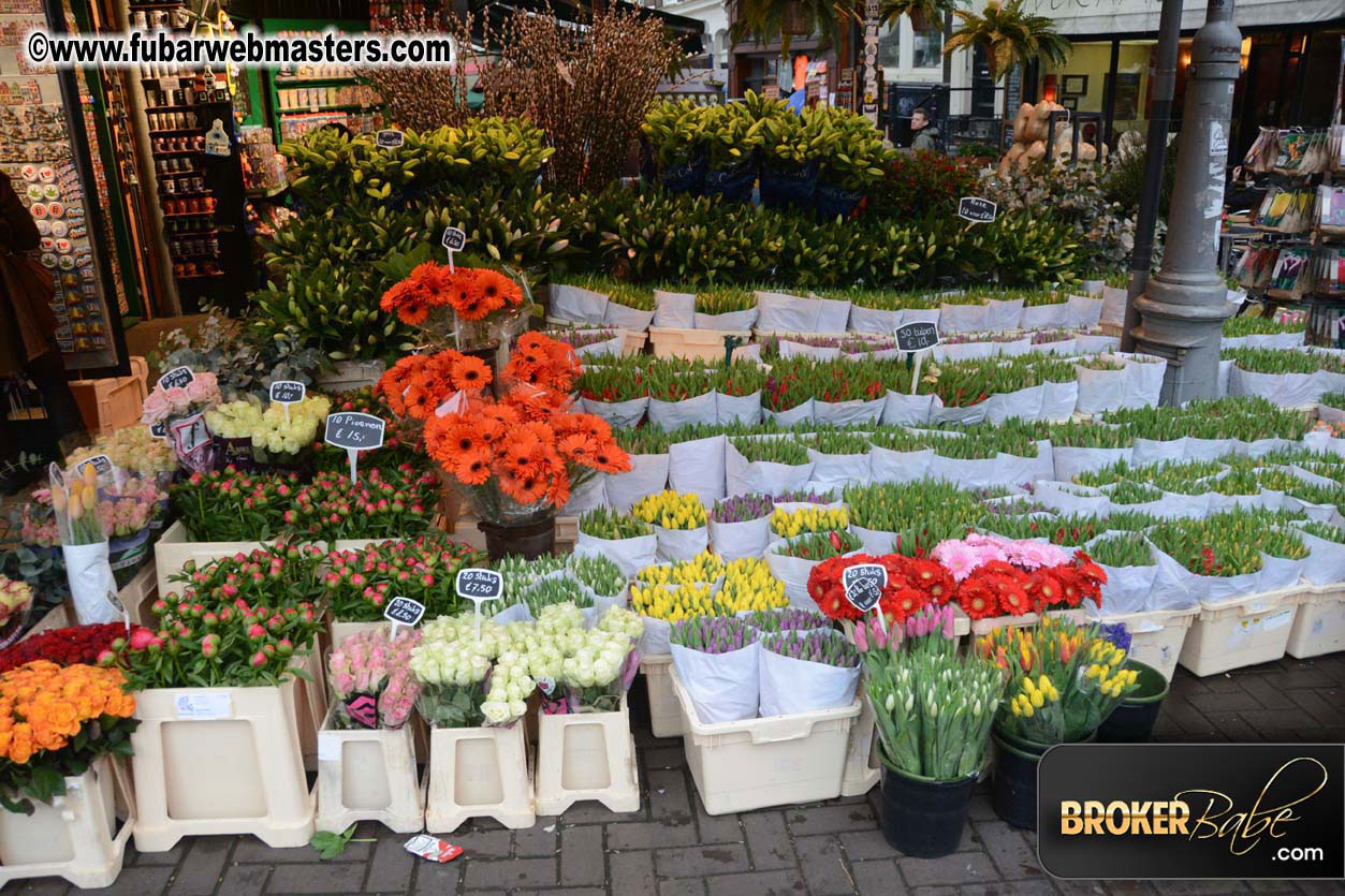 Amsterdam on Saturday