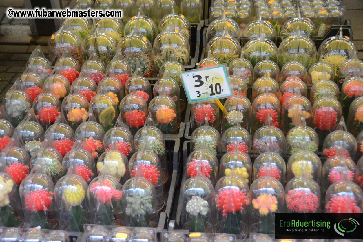 Amsterdam on Saturday