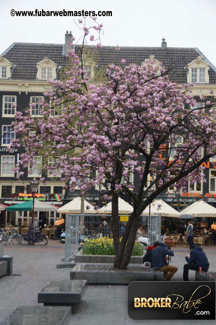 Amsterdam on Saturday